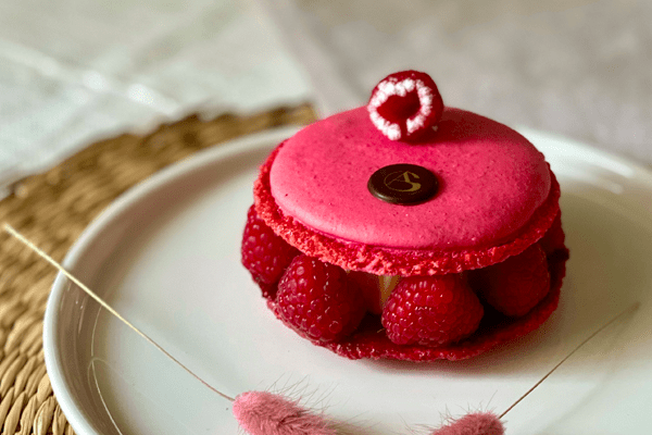 macaron-framboises